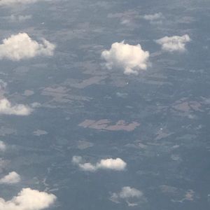 Meet your Posher, Tonya